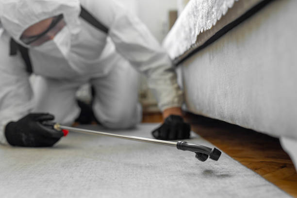 Professional Ant Control technician working in Bayville, NY